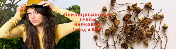 spice Армянск