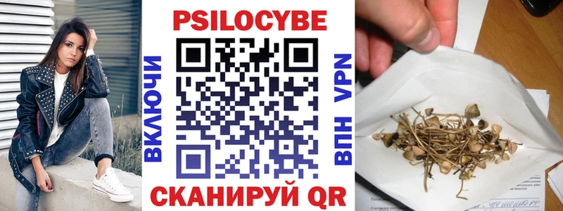 купить Мирный Галлюциногенные грибы Psilocybe